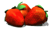 strawberries_rocking_md_wht