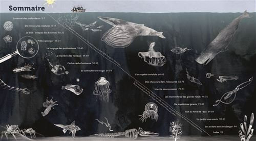 Sous-l-ocean-A-la-decouverte-des-grands-fonds (1)