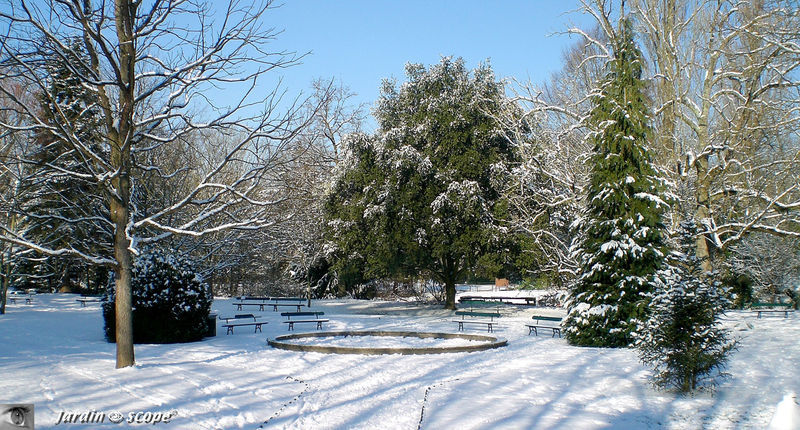 Le jardin botanique de Tours sous la neige