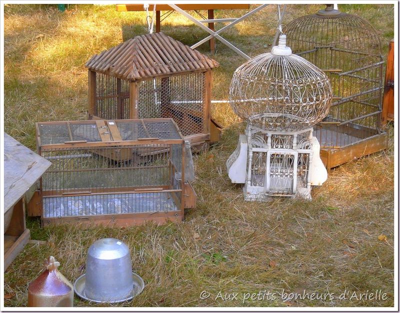 Brocante (21)