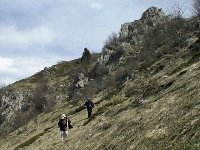 descente dans l'alpage versant ouest