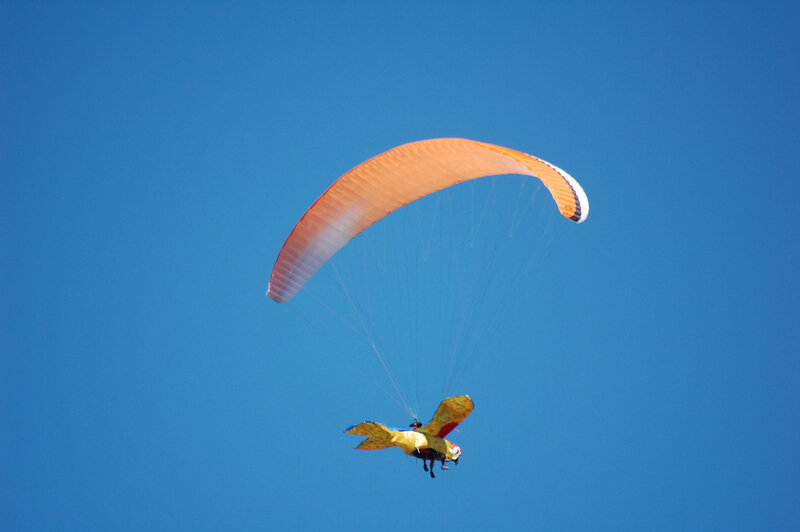 zoom (225)