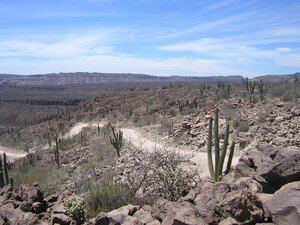 baja2006_04_09_0013