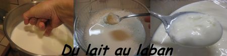 Du_lait_au_laban