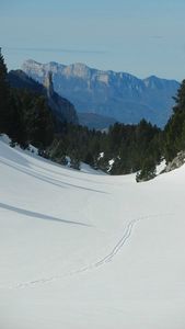 Hauts Plateaux Vercors - Rochers du Parquet - Ski Rando Nordic (23)