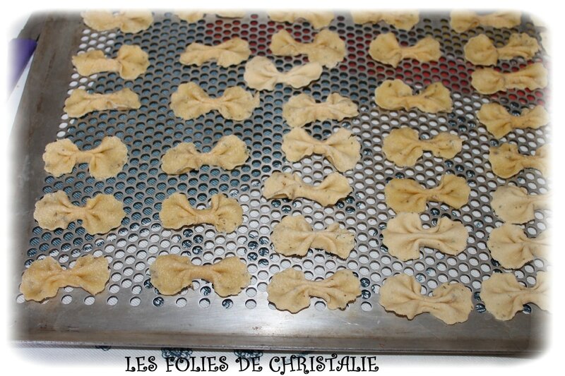 Papillons 7