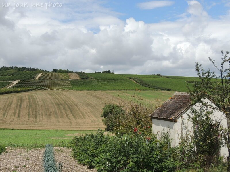 && Coulanges la Vineuse (6)