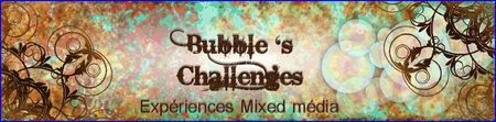 Bubble_s_Challenges