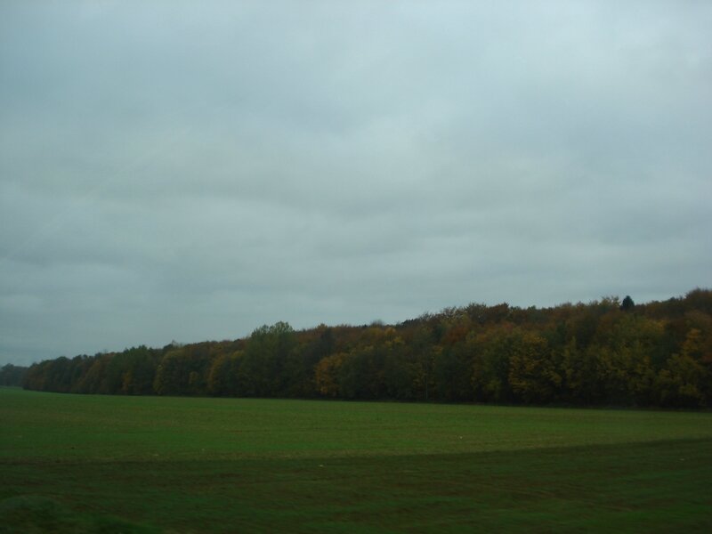 DSC08764