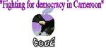 Fighting_for_democracy_in_Cameroon_CODE