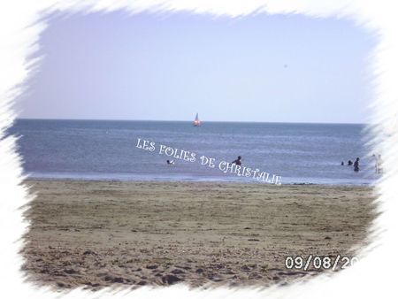 Plage Barbâtre 2012 025