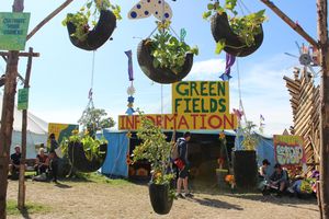 Glastonbury festival 2013 the Green Fields