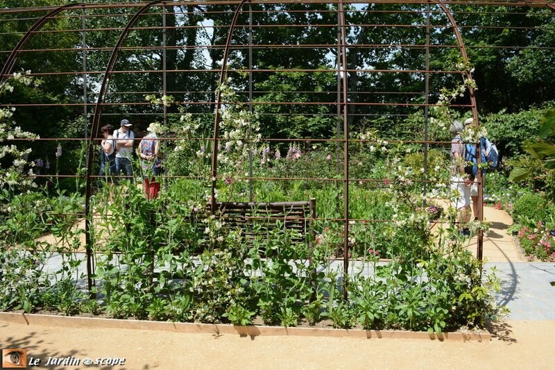 19-Jardin-des-plantes-oubliées-1