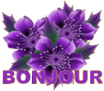 bonjour_avec_des_violettes