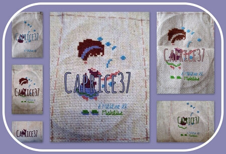 caprice37_sal surpriiise_col2