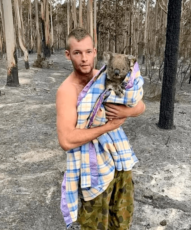 Chasseur sauvant un koala