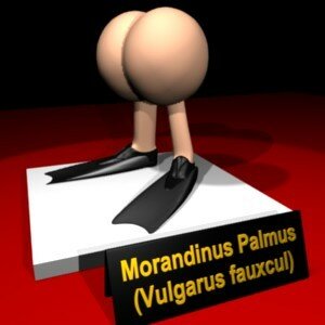 morandinus