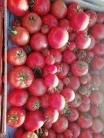 photo marché 2
