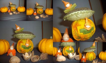 2011-10-16 citrouille et champignon