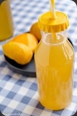 Kefir-mangue-alphonso-4