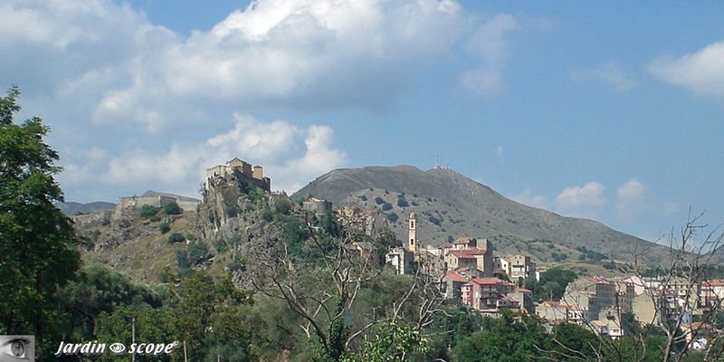CIMG0149