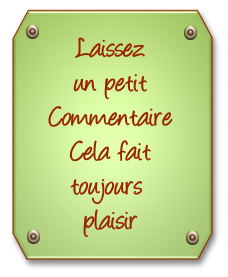 432937commentaire
