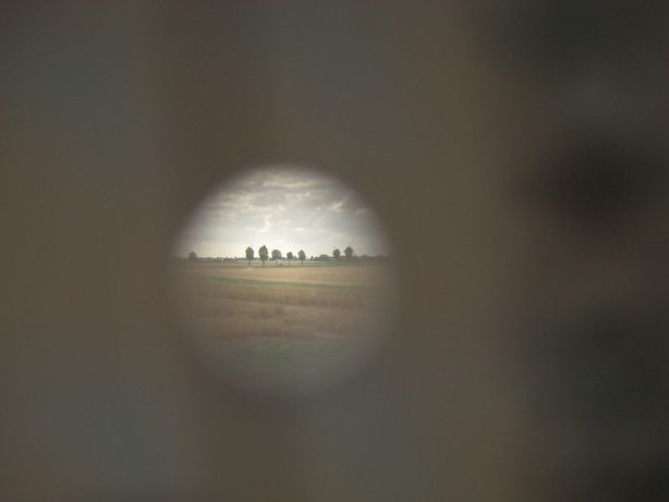 tr_N20