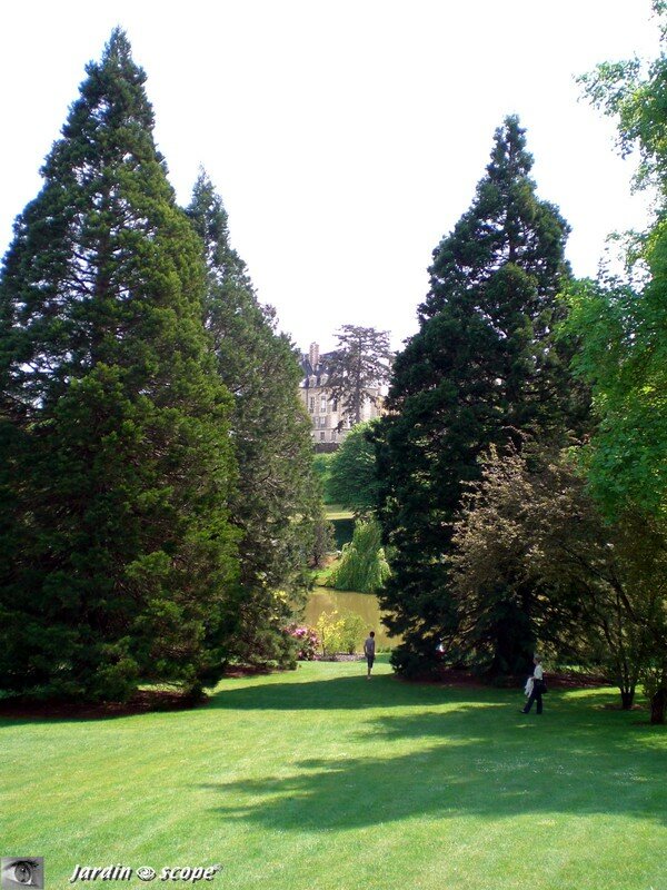 Une perspective intéressante vers le Château