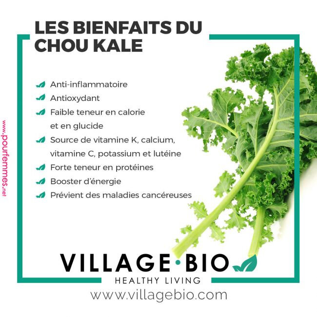 CHOU KALE