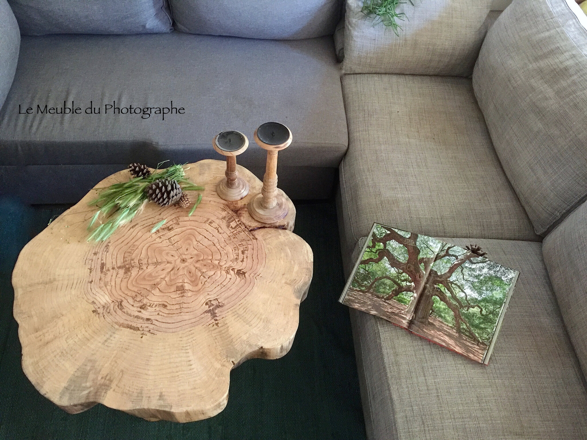 grande table tronc d'arbre salon