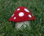 mushroom5_thumb