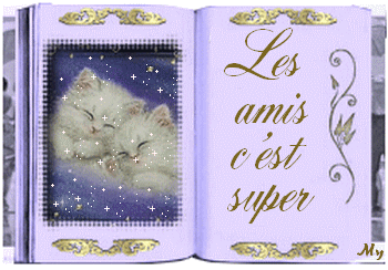 am_c_super_les_amis_BPat