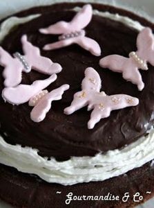 Gâteau doublement chocolat et ses papillons printaniers Gourmandise & co