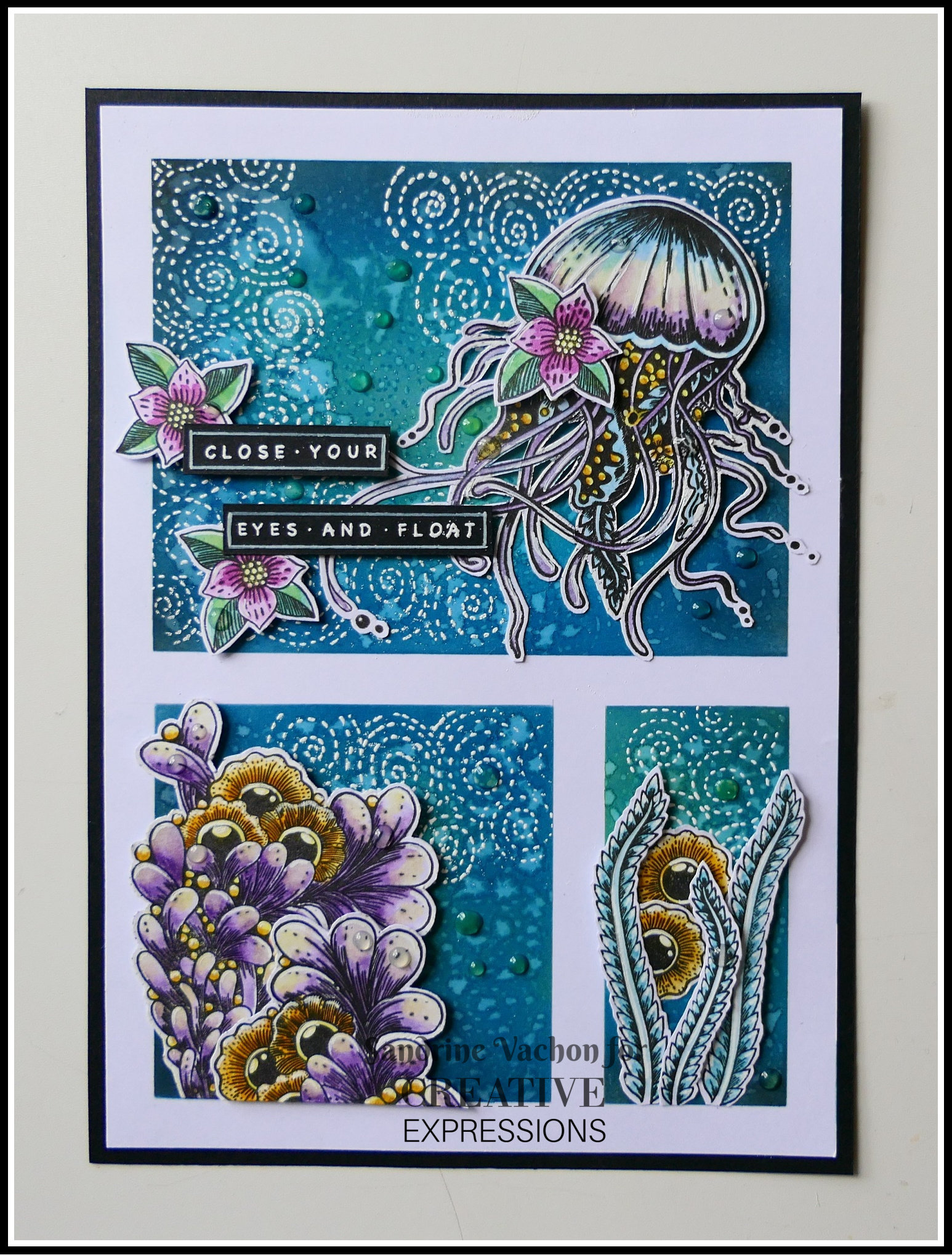 Sandrine VACHON Sea Wasp KK (1)
