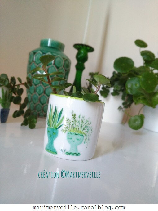 petit pot à succulente 3 green attitude - création ©Marimerveille