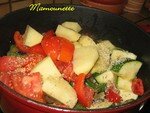 Ratatouille_aux_l_gumes_du_jardin__07_009