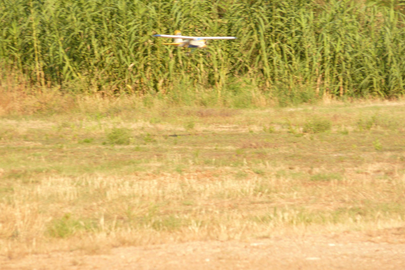 P1110538