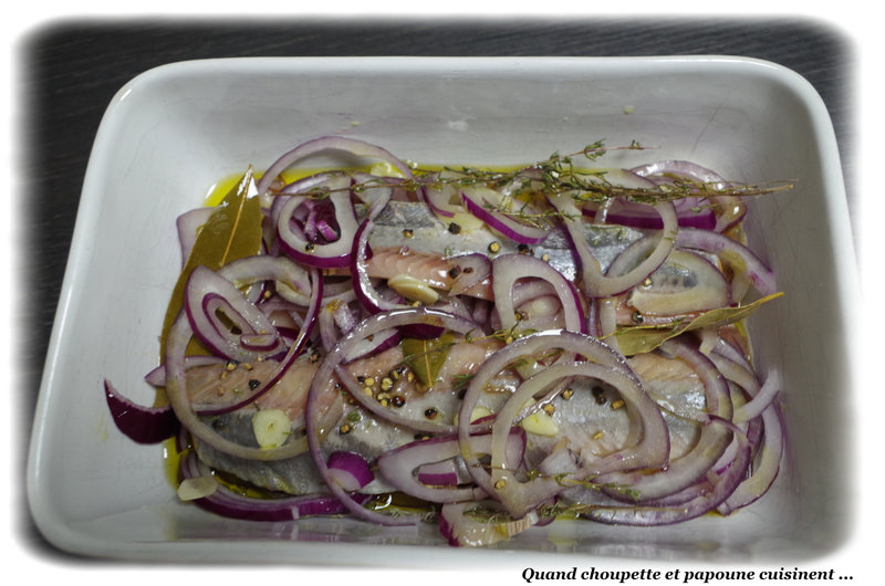 salade de harengs marinés-3815
