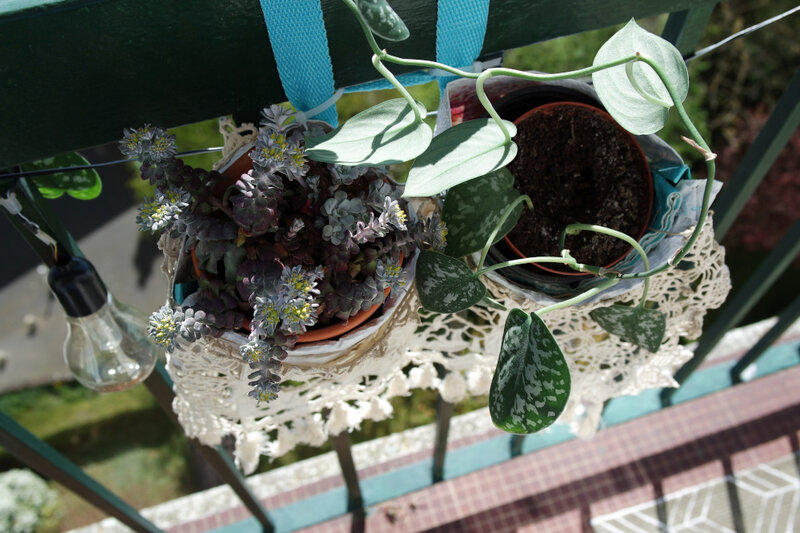 jardinière03