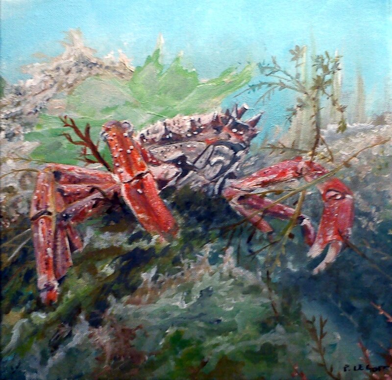 Crabe 2013