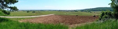 Marsannay_pano Longeroies_petit