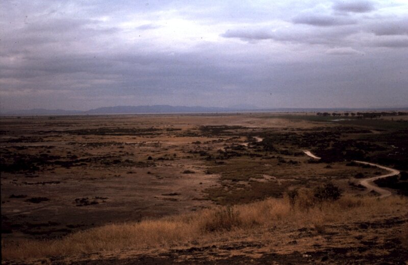 amboseli paysage n