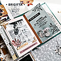 Un mini album par <b>Brigitta</b>