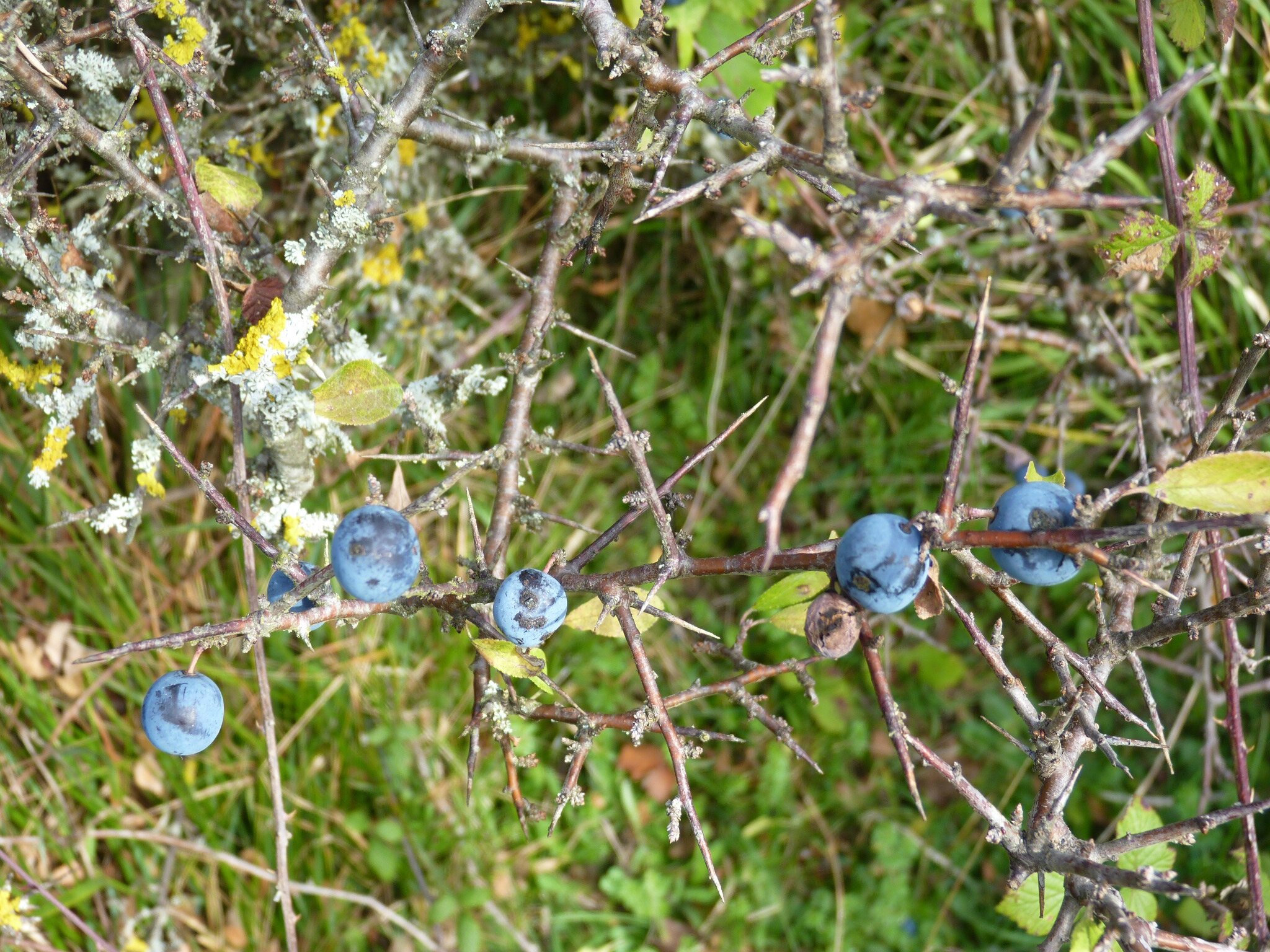 P1080373