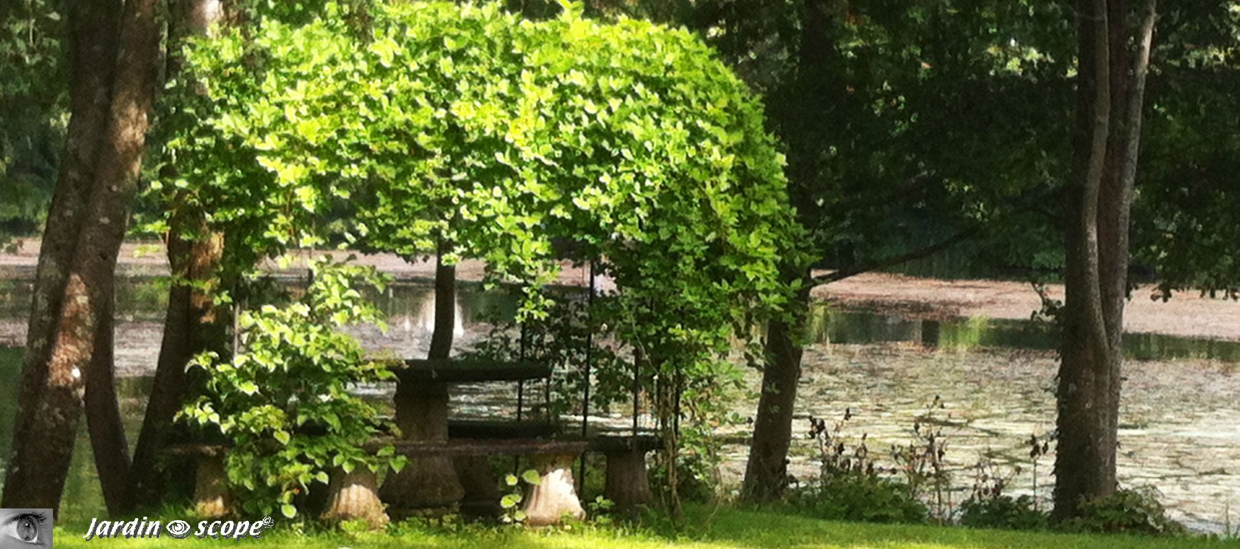 Une table avec un banc circulaire au bord du Loiret