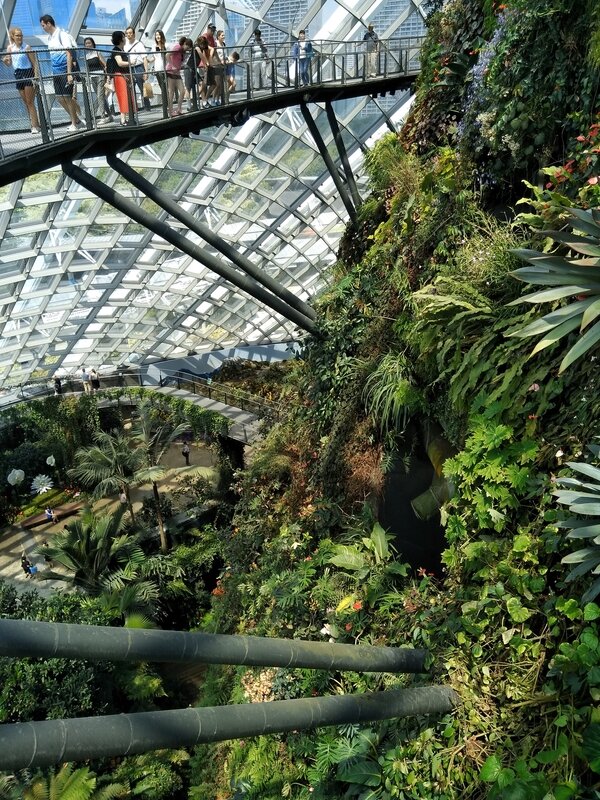 gardens by the bay 2
