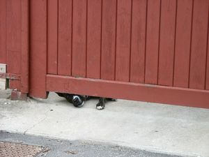 Pépère sous la porte