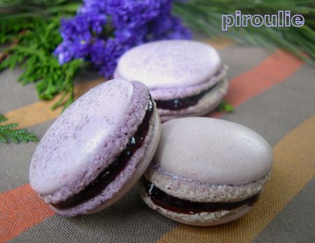 macaron_myrtille__5_