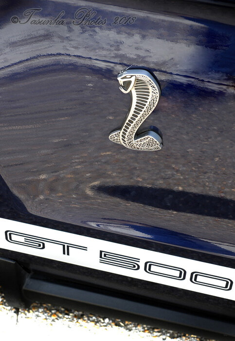 GT500Shelby_Tasunkaphotos2018_11