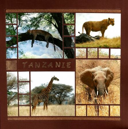 Tanzanie_4x4